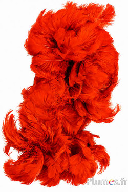 Henne - 5-9 cm - blutorange